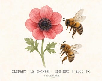 5 Watercolour Honey Bee and Daffodil Clipart – Spring Floral PNG for Stickers, Crafts & Scrapbooking