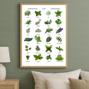 Herb Chart Printable – Kitchen Herb Poster – Botanical Wall Art – Digital Herb Guide for Cooking & Gardening, Digital Download