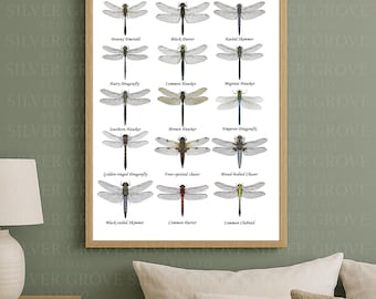 Puede incluir: Una impresión enmarcada con ilustraciones detalladas de varias especies de libélulas británicas. La impresión incluye los nombres de cada libélula, como "Downy Emerald" y "Black Darter", y se muestra sobre un fondo blanco. La impresión está etiquetada como "British Dragonfly".
