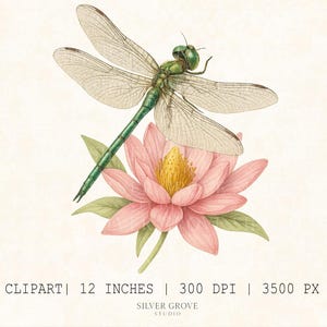 5 clipart de libélula em aquarela – PNGs de insetos botânicos florais, arte de lírio-d'água e lótus, download digital de natureza, PNG de alta resolução de 12"