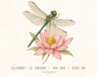Libelle Clipart Bundle | Aquarell Lotus and Lily Pad PNGs für Handwerk und Hochzeiten