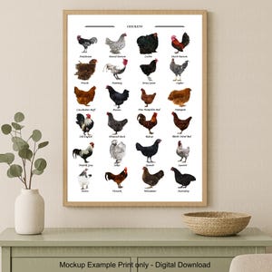 May include: A framed print featuring illustrations of various chicken breeds, including Andalusian, Coche, and Jersey Giant. The print is labeled "CHICKENS" at the top and includes the text "Mockup Example Print only - Digital Download" at the bottom.