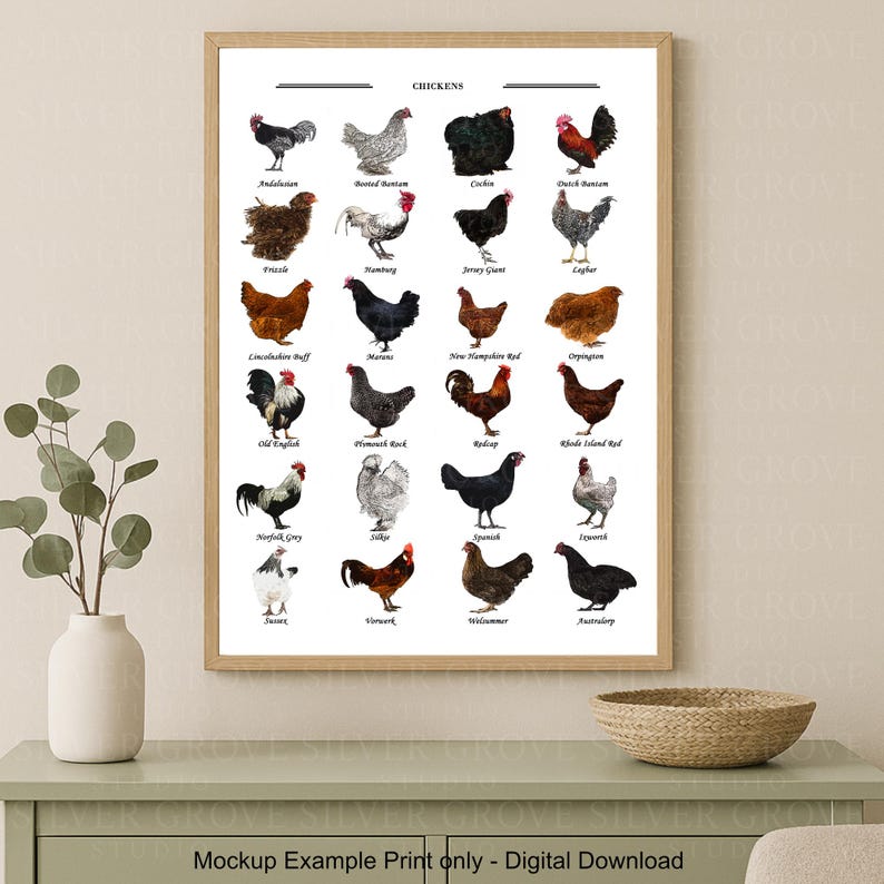May include: A framed print featuring illustrations of various chicken breeds, including Andalusian, Coche, and Jersey Giant. The print is labeled "CHICKENS" at the top and includes the text "Mockup Example Print only - Digital Download" at the bottom.