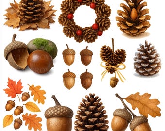 Höst-ekolon och tallkotte clipart-set: Rustika skogs-PNG:er (digital nedladdning)