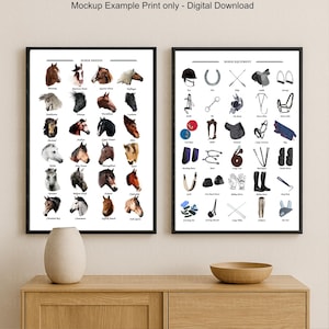 Horse Breeds Posters Equestrian Pony Wall Art Printable Horse Chart Set of 2 Digital Horse Guide for Kids and Riders, Digital Download