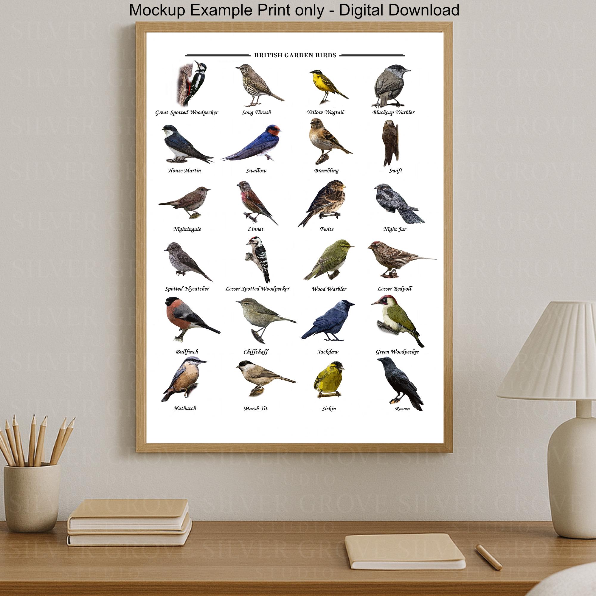 British Garden Birds Poster Set – Printable Bird Identification Chart ...