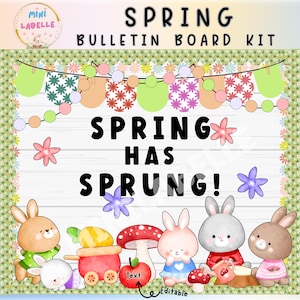 May include: A spring-themed bulletin board kit with the text "SPRING BULLETIN BOARD KIT" and "SPRING HAS SPRUNG!". The design features cartoon bunnies, flowers, and decorative elements in pastel colors. Includes editable text.