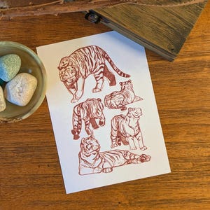 Estudios de dibujo de vida animal - Postal con impresión artística A6