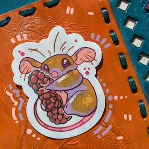Mountain Pygmy-Possum - Large Matte Vinyl Sticker