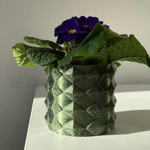 Op de afbeelding: Een groene geometrische bloempot met een bloeiende plant met donkerpaarse bloemen en groene bladeren. De pot heeft een textuur met een diamantachtig patroon. De plant staat op een wit oppervlak, met zonlicht dat de scène verlicht.