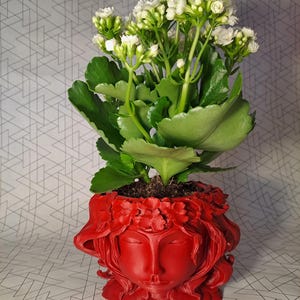 Op de afbeelding: Een rode bloempot in de vorm van een vrouwengezicht, gevuld met een groene plant en witte bloemen. De pot heeft gedetailleerde gelaatstrekken en een bloemenkrans. De plant heeft grote, afgeronde groene bladeren en trossen kleine witte bloesems.