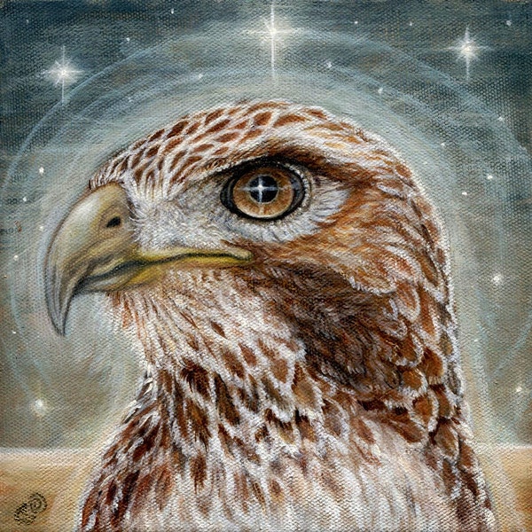 The Emissary Hawk spirit guide mystical totem Fine art print