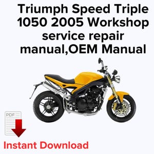 Triumph Speed Triple 1050 Repair Manual 2005 (PDF)