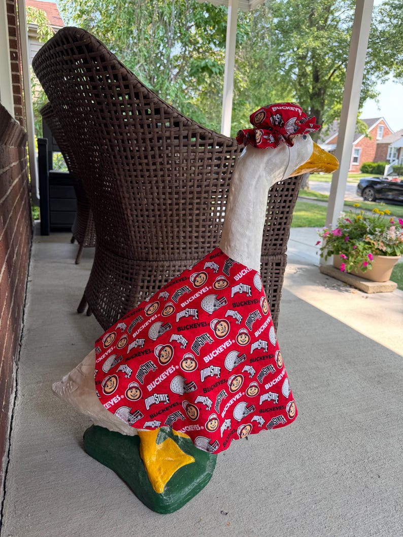 Ohio State Buckeyes Porch goose outfit