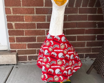 Ohio State Buckeyes Porch goose outfit