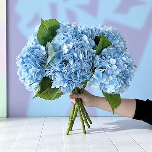 May include: A bunch of light blue hydrangea flowers with green leaves and stems. The flowers are held in a hand against a blue and purple backdrop. The stems are green and the flowers are in full bloom.