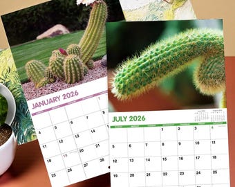 Funny Adult Wall Calendar – 12 Months of D*ck Jokes | Cheeky Gag Gift | Rude Humor Office Calendar | Naughty 2026 Calendar