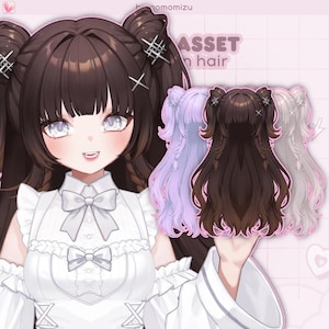 Rigged Double Bun Hair Asset – VTube Studio, 10 Color Variations, Adjustable Length