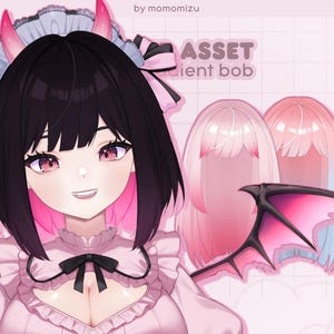 May include: Digital artwork featuring a character with black hair, pink highlights, and pink eyes. The character is dressed in a pink outfit with a black bow and pink horns. The image includes the text "ASSET silent bob" and two wig designs.