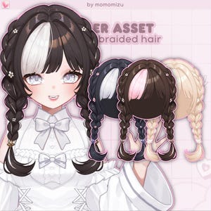Puede incluir: Ilustración digital de un personaje con cabello trenzado marrón oscuro, una raya blanca y un vestido blanco. La imagen incluye tres peinados trenzados adicionales en negro, marrón con rosa y rubio. El texto dice "HAIR ASSET braided hair".
