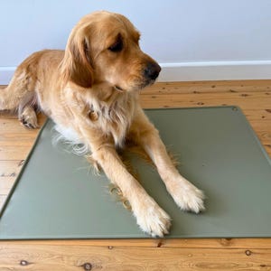 Large Olive Silicone Placemat | Mess Free Mat | Baby Feeding | Dog Mat | Food Mat | Placemat | Table Protection