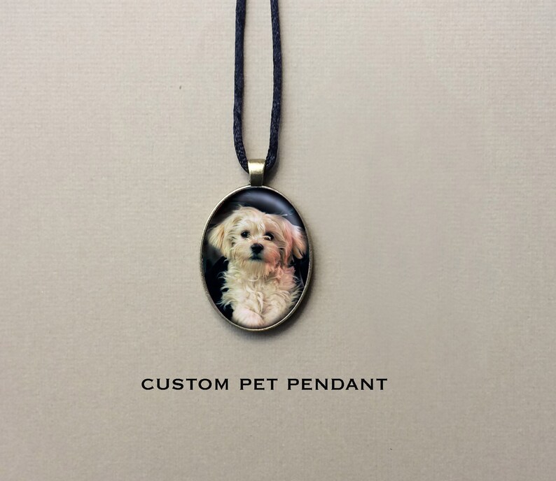 Peut inclure: Un collier avec un pendentif personnalis&eacute; pour animal de compagnie avec une photo d'un chien blanc aux yeux noirs. Le pendentif est de forme ovale et est sur un cordon noir.