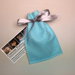 Peut inclure: Un sac en feutre bleu clair avec un ruban argent&eacute; nou&eacute; autour du haut. Le sac est pos&eacute; sur une surface blanche. Une carte de visite pour "Curious Portraits" est visible en arri&egrave;re-plan.