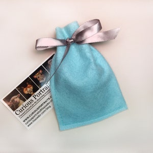 May include: A light blue felt bag with a silver ribbon tied around the top. The bag is sitting on a white surface. A business card with the text "Curious Portraits" is visible in the lower left corner of the image.
