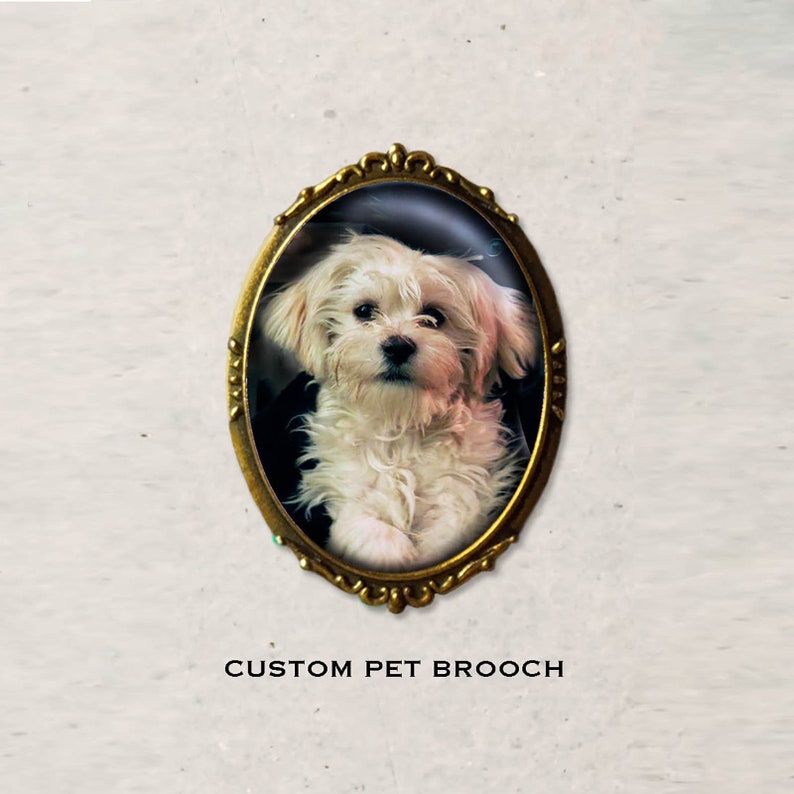 Peut inclure: Une broche personnalis&eacute;e pour animal de compagnie repr&eacute;sentant un chien blanc aux yeux bruns dans un cadre ovale dor&eacute;. La broche est un excellent moyen de se souvenir de votre ami &agrave; fourrure.