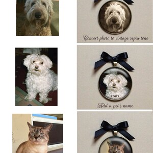 Peut inclure: Trois portraits d'animaux de compagnie dans un style vintage, chacun avec un ruban noir et un pendentif en or. Le premier portrait est celui d'un chien en s&eacute;pia, le deuxi&egrave;me portrait est celui d'un chien blanc avec le nom "TOBY" imprim&eacute; en dessous, et le troisi&egrave;me portrait est celui d'un chat.