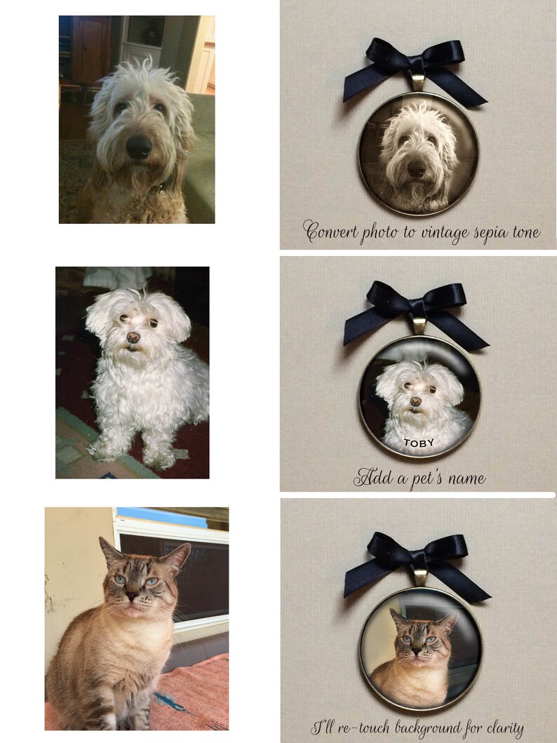 Peut inclure: Trois portraits d'animaux de compagnie dans un style vintage, chacun avec un ruban noir et un pendentif en or. Le premier portrait est celui d'un chien en s&eacute;pia, le deuxi&egrave;me portrait est celui d'un chien blanc avec le nom "TOBY" imprim&eacute; en dessous, et le troisi&egrave;me portrait est celui d'un chat.