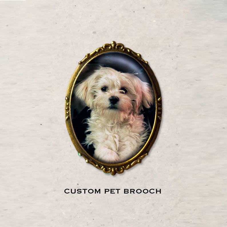 Dog Brooch Dreaming, Dog Pin, Dog Art, Dog Lover's Gift, Maltese, White Dog, Stocking Stuffer, Secret Santa Gift, Christmas Pin image 5