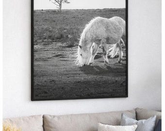 Black and White Horse Photography Print | Minimalist Landscape (Digital Download)
