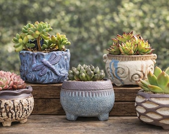 Set of 5 Ceramic Succulent Planters | Mini Flower Pots, Desk Decor
