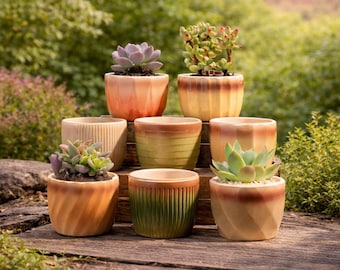 Set of 8 Ceramic Succulent Planters, Textured Desk Decor Pots, Plant Lover Gift