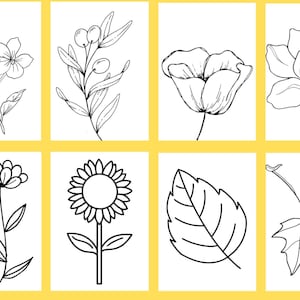Flowers Coloring Sheets,Simple Flowers Coloring Pages,Kids Flowers Coloring Book,Coloring Book Floral Theme, Adults Coloring Book