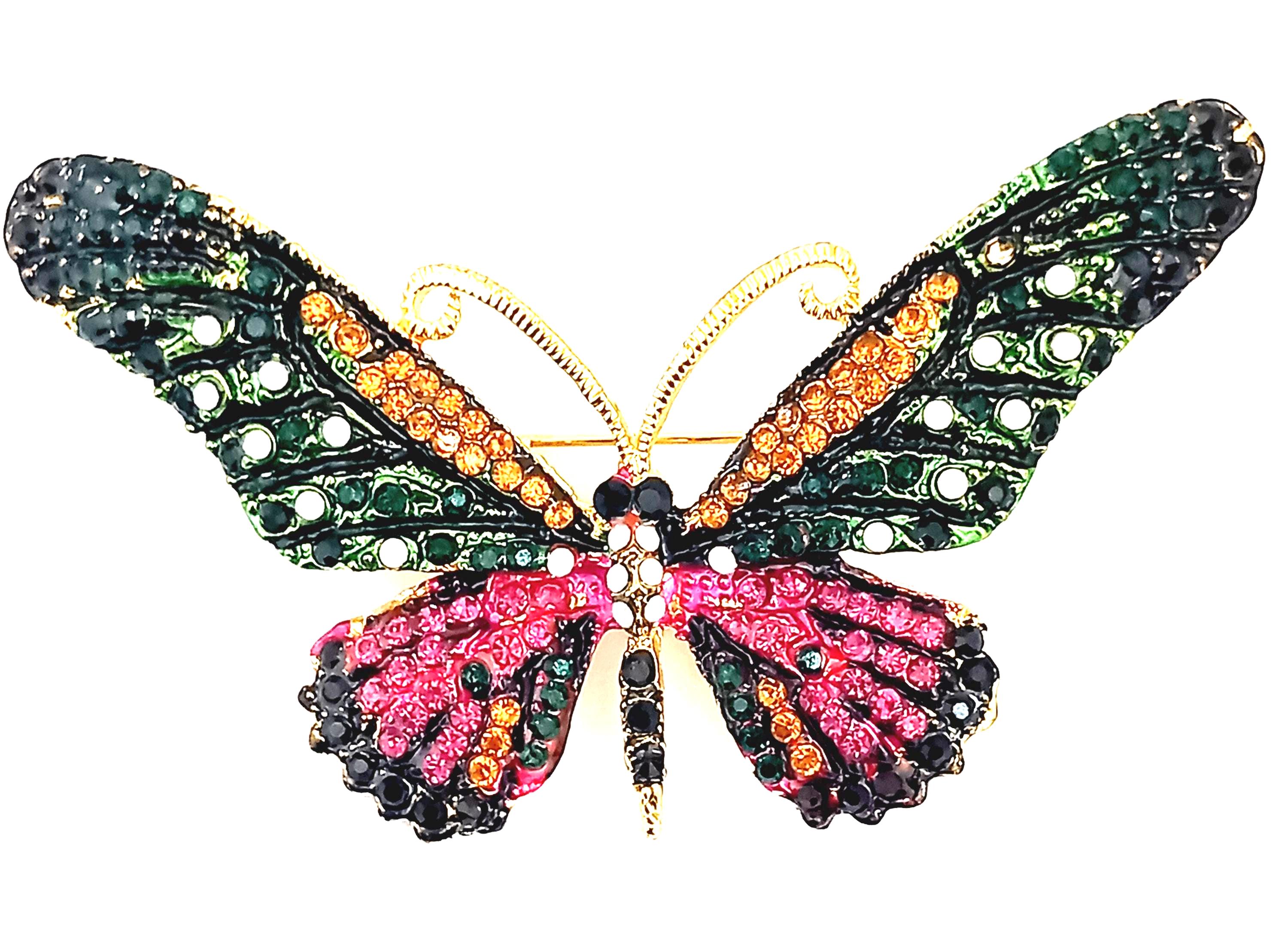 Vind broche insect op - april 2026