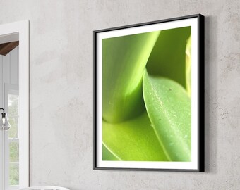 Minimalist Botanic Print: Green Plant Wall Art (Digital Download)