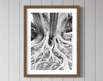 Ancient Tree Photography Print: Black and White Nature Art (Digital Download)