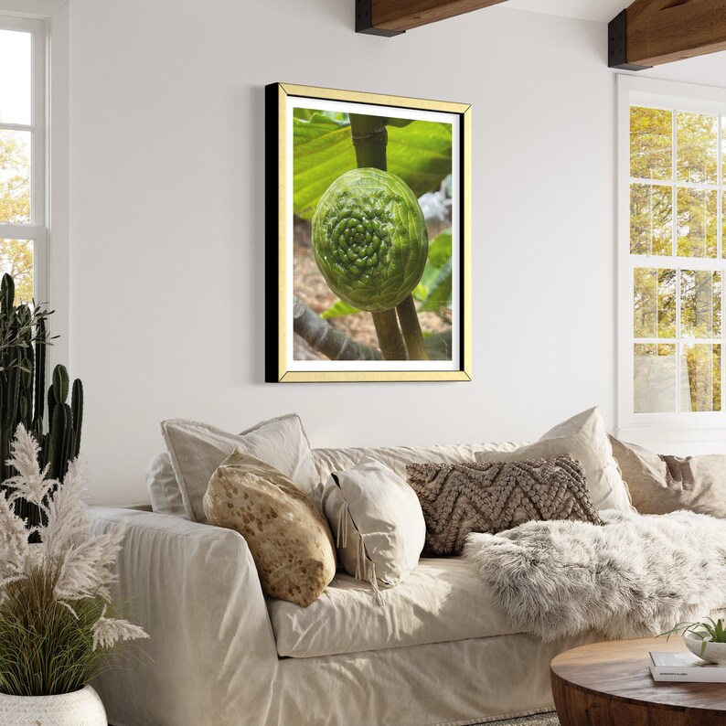 May include: A close-up of a green fig growing on a branch. The fig has a unique, textured surface and is surrounded by green leaves.