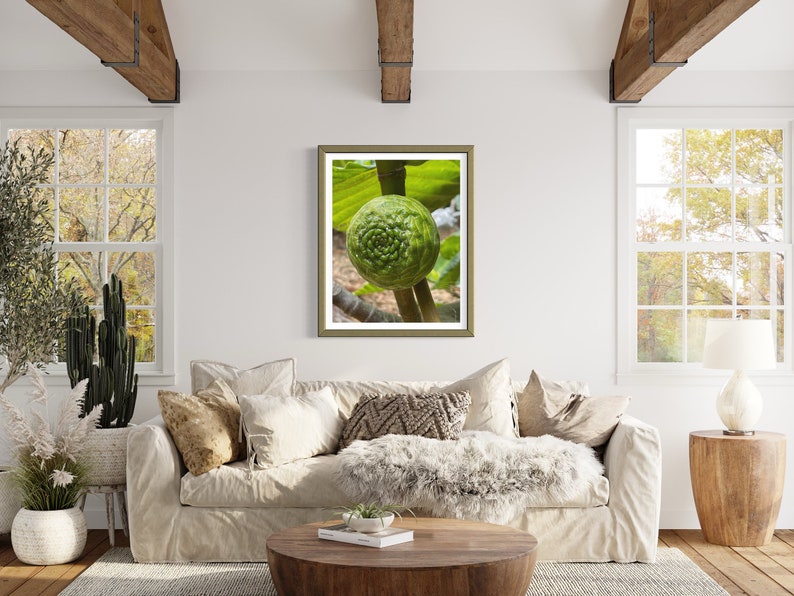 May include: A framed photograph of a green fruit with a unique pattern growing on a branch. The fruit is surrounded by green leaves.