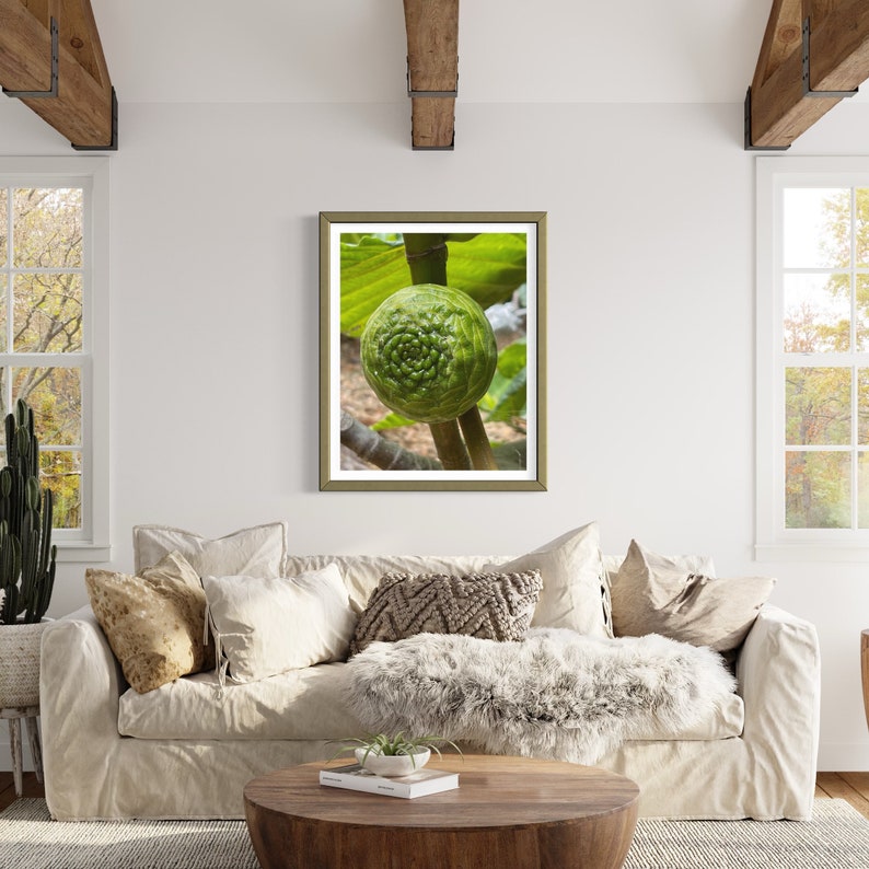 May include: A close-up of a green fig growing on a branch. The fig has a unique, textured surface and is surrounded by green leaves.