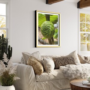 May include: A framed print of a green fruit with a spiral pattern growing on a branch. The fruit is surrounded by green leaves.