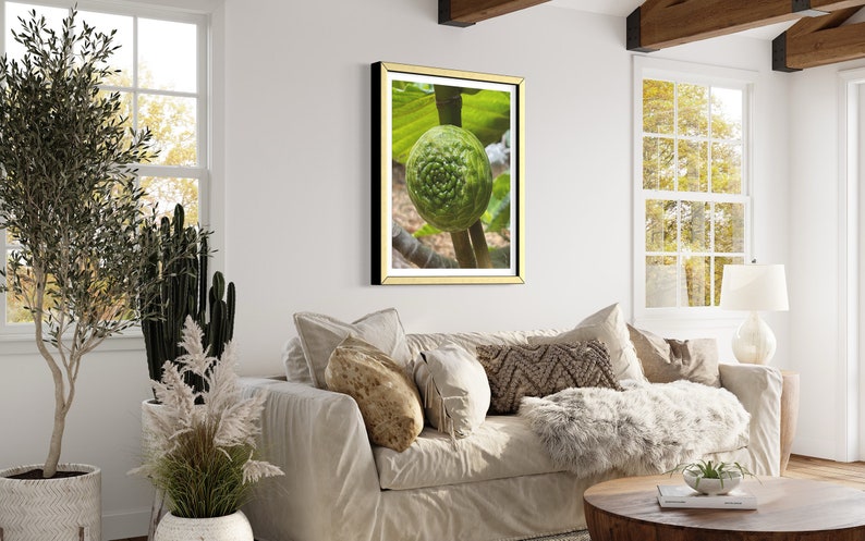May include: A framed print of a green fruit with a spiral pattern growing on a branch. The fruit is surrounded by green leaves.