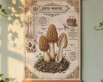 Edible Morel Vintage Picture | Kitchen Wall Art | Farmhouse Kitchen Decor | Gourmet Chef Gift | A3 Premium Print