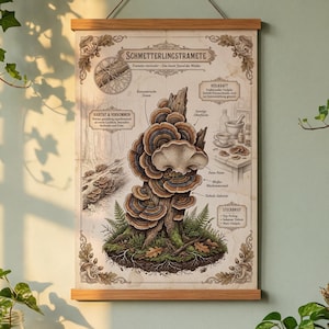 Może przedstawiać: Plakat botaniczny z napisem "SCHMETTERLINGSTRAMETE" jest wyświetlany na ścianie. Plakat przedstawia ilustrację grzyba, ze szczegółowymi diagramami i tekstem. Plakat jest trzymany przez drewniane pręty i zawieszony na sznurku. Pokój jest ozdobiony roślinami.