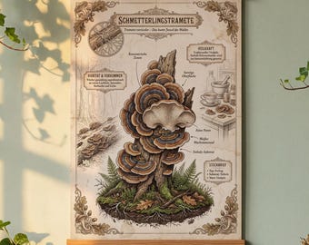 Vintage Butterfly Poster | Dark Cottagecore Decor | Witch's Kitchen Herb Wall Art | Botany German A3