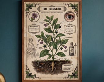 Deadly Nightshade Vintage Poster | Dark Cottagecore Decor | Witchy Room Decor | Botany German | A1/A2/A3/A4 250g paper