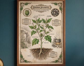 Datura vintage teaching board | Botanical Prints | Dark Academia Decor | A1/A2/A3/A4 250g paper