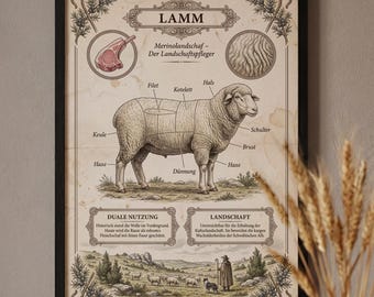 Vintage Lamb Poster | Butcher's Art | Kitchen Decor | Sheep Lover Gift | German A3 250g